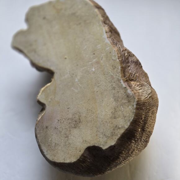 Sleeping Cat Resin Gray and Brown Coloring Very Lightweight Home/Porch Decor - Picture 6 of 8